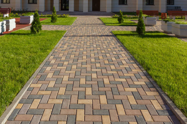 Best Driveway Paving Company  in Mount Carroll, IL